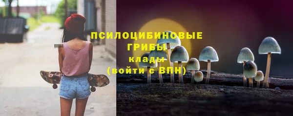 apvp Баксан