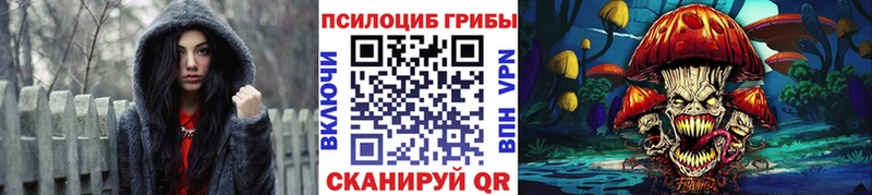 Галлюциногенные грибы Psilocybe  продажа наркотиков  Лакинск 